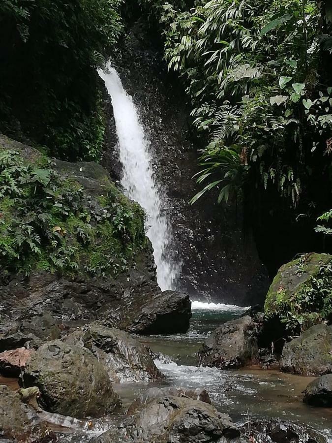 Posada El Acuario Bahia Solano Luaran gambar